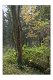 Herbst M 04
